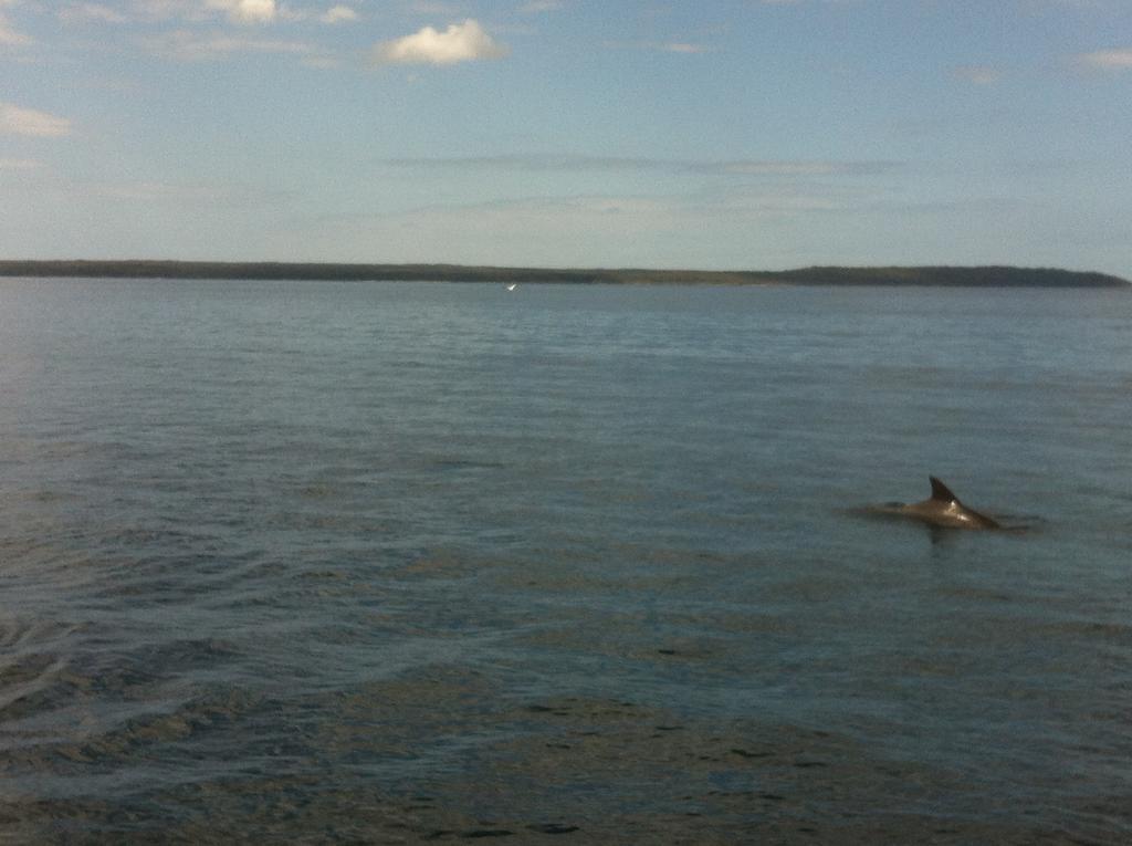 Jervis Bay Mariners Motel Huskisson Dış mekan fotoğraf